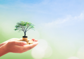 Hands holding money with a small tree growing from it