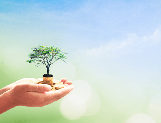 Hands holding money with a small tree growing from it